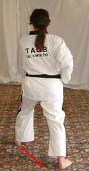 DSCF0230 9) Move left foot diagonally out to form a left walking stance, perform obverse (front/left) middle section punch towards D.