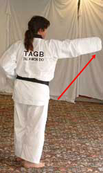 DSCF0234 Pull left leg forwards whilst raising front hand to reach forwards