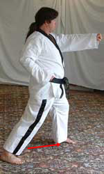 DSCF0235 11) Move left foot forwards to form a left walking stance performing a middle section obverse punch (reaction hand to the belt) towards A.