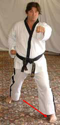 DSCF0240 13) Move left foot diagonally forwards to form a left walking stance performing a middle section obverse punch (reaction hand to the belt) towards C.