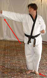 DSCF0244 Pull left leg forwards, raise front (right) hand to reach forwards