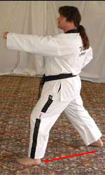 DSCF0245 15) Move left foot diagonally forwards to form a left walking stance performing a middle section obverse punch towards B – shout(kihap). Stay still until instructed…